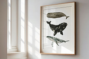 AQUATALES | 170+ elements, an Animal Illustration by Oksana Stepova (Thumbnail 15 of 19)