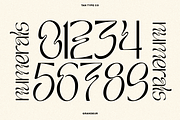 TAN - GRANDEUR, a Sans Serif Font by TanType (Thumbnail 20 of 25)
