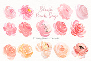 Blush Peach Sage flowers, a Texture Illustration by LABFcreations (Thumbnail 11 of 13)
