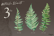 Modern Plants Design Kit, an Object Graphic by JSquarePresents (Thumbnail 10 of 18)