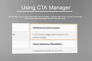 CTA Manager - WordPress Plugin, a WordPress Template by OrbitCarrot Marketing (Thumbnail 2 of 4)