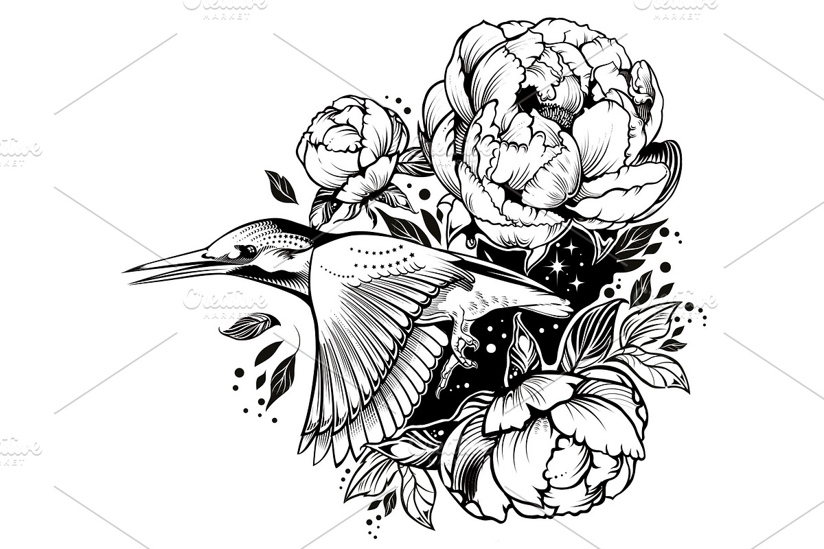 Kingfisher illustration. Vector Bird, an Animal Illustration by Tettygreen (Photo 1 of 3)