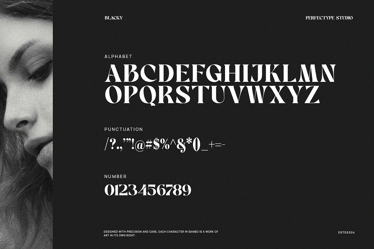 Blacky Elegant Serif Font, a Serif Font by Perfectype (Photo 8 of 8)