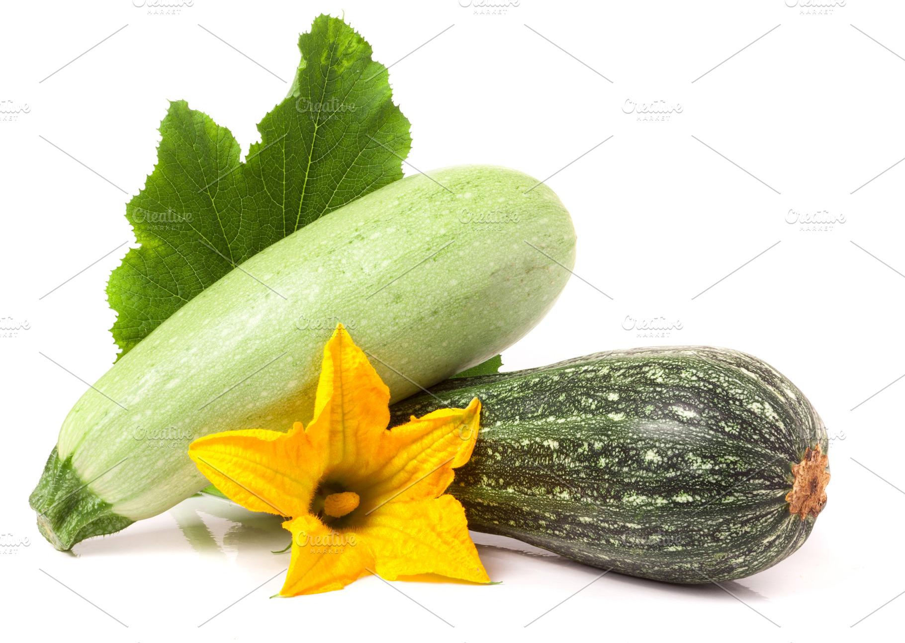 zucchini and squash with leaf flower, a Food & Drink Photo by NataPhoto