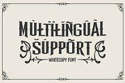 Whitecopy, a Symbol Font by Vintage Division (Thumbnail 14 of 15)