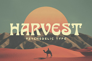 Harvest Typeface, a Serif Font by Tugcu Design Co.