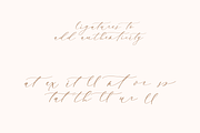 Enchantress | Luxury Script, a Script Font by theinkaffair (Thumbnail 7 of 9)