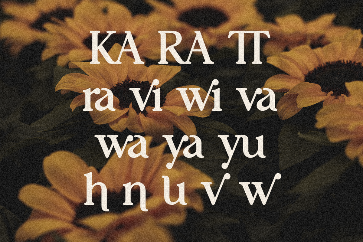 Oranges - Modern Retro Serif, a Serif Font by RockboyStd (Photo 11 of 12)