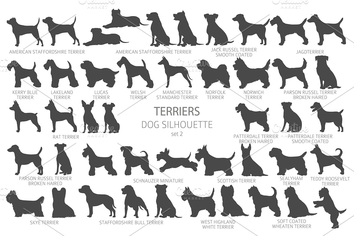 Terrier dogs Silhouettes, an Animal Illustration by pet design shop (Photo 8 of 13)