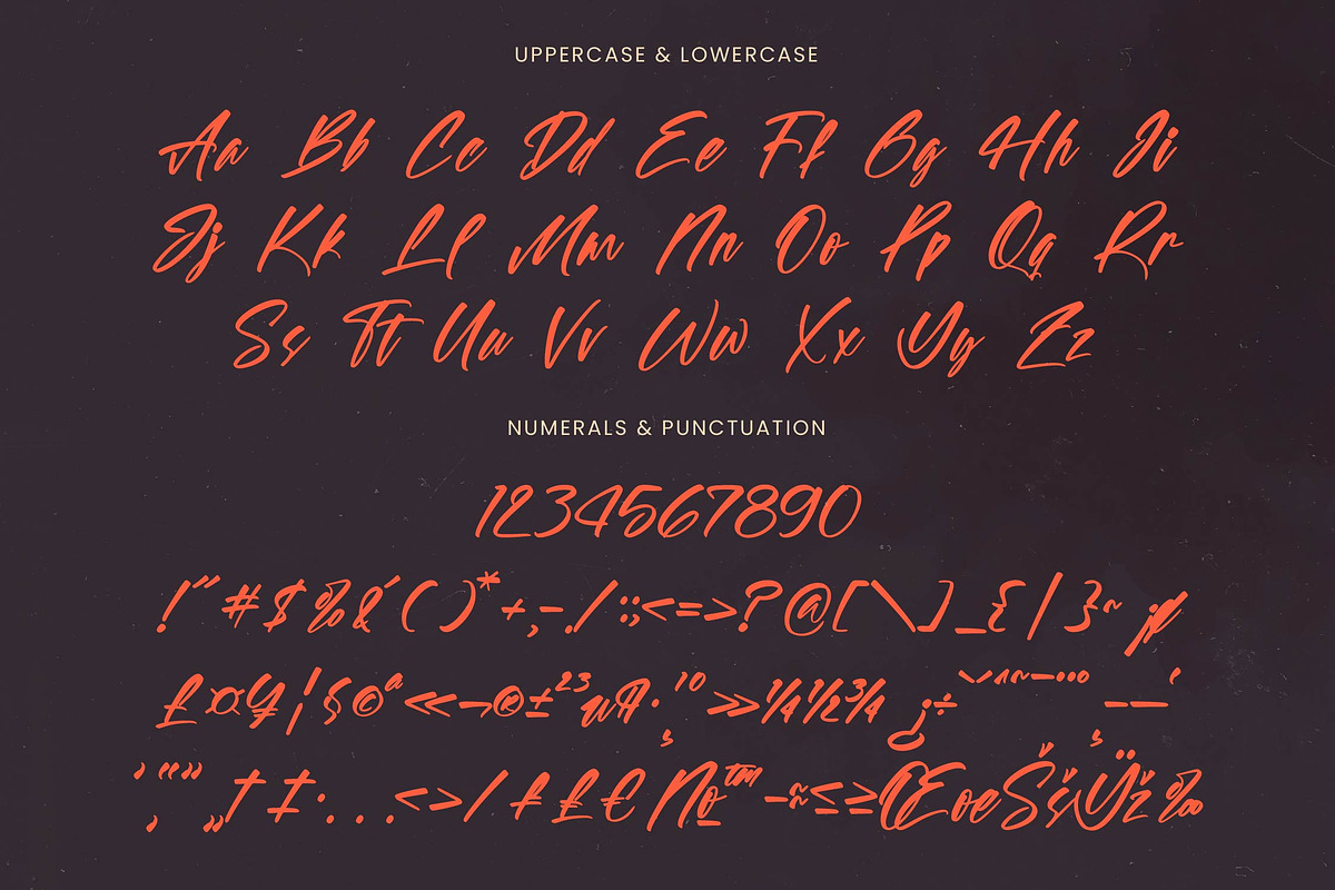 Spotnight Balmonte Modern Brush Font, a Script Font by stylishtype.co (Photo 18 of 20)