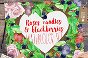 Watercolor Floral BUNDLE, an Illustration by WBS Design (Thumbnail 14 of 27)