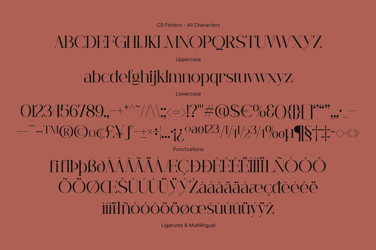 CS Abenia – Elegant Serif Font, a Serif Font by Craft Supply Co. (Photo 8 of 8)