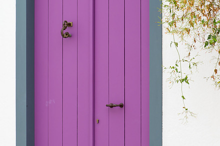 Green Door Stone Wall preview 5