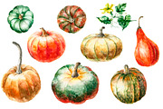 Watercolor Pumpkins Clipart, an Illustration by Vikeriya (Thumbnail 2 of 3)