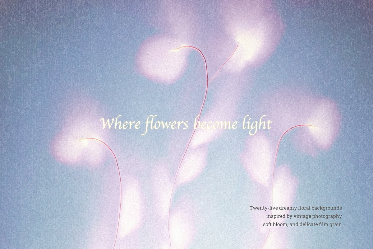 Bloom Veil: Dreamy Floral, a Background Graphic by Hello Muse (Photo 2 of 10)