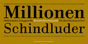 Prillwitz PRO, a Serif Font by preussTYPE (Thumbnail 4 of 9)