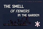 Morfelan A Display Typeface Font, a Serif Font by Storytype Studio (Thumbnail 10 of 15)