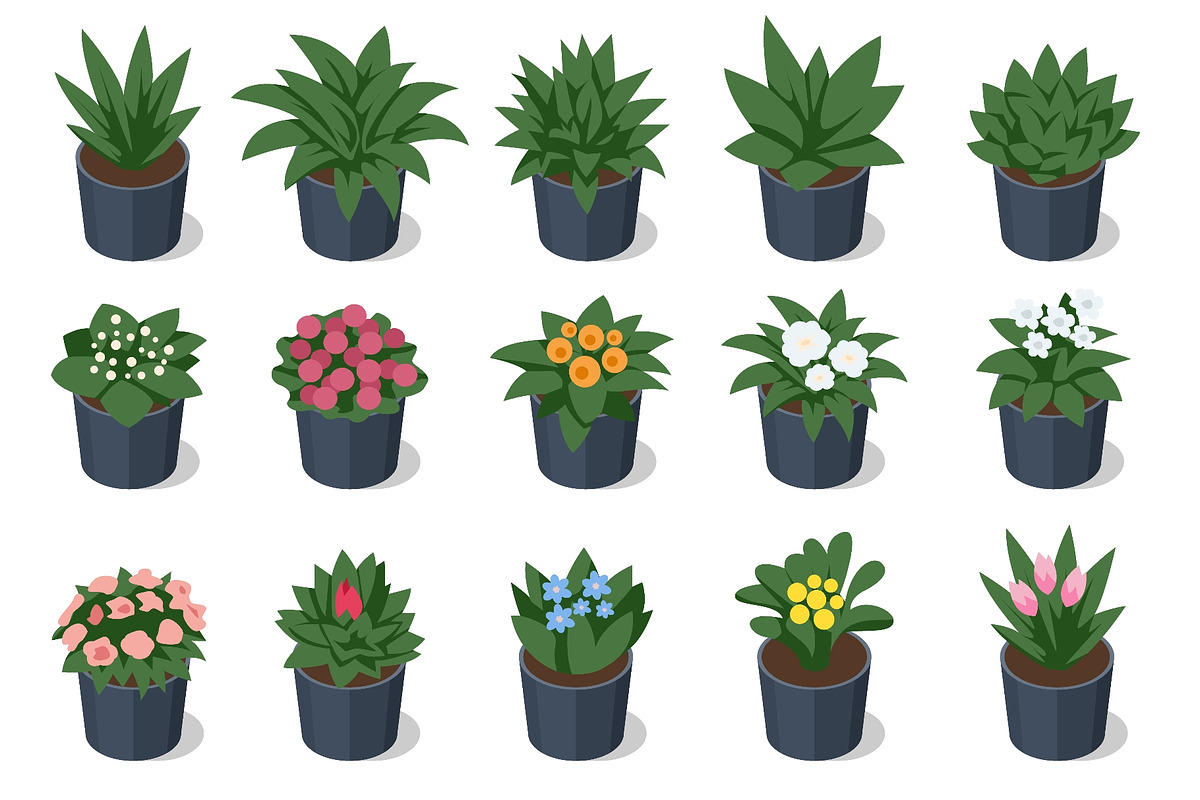 Isometric potted plant and flower, a Person Illustration by Golden Sikorka (Photo 2 of 3)
