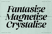 La Mystere - Editorial Serif Font, a Serif Font by SilverStag Type Foundry (Thumbnail 29 of 30)