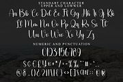 Paradise, a Handwritten Font by FreshTypeINK (Thumbnail 4 of 8)