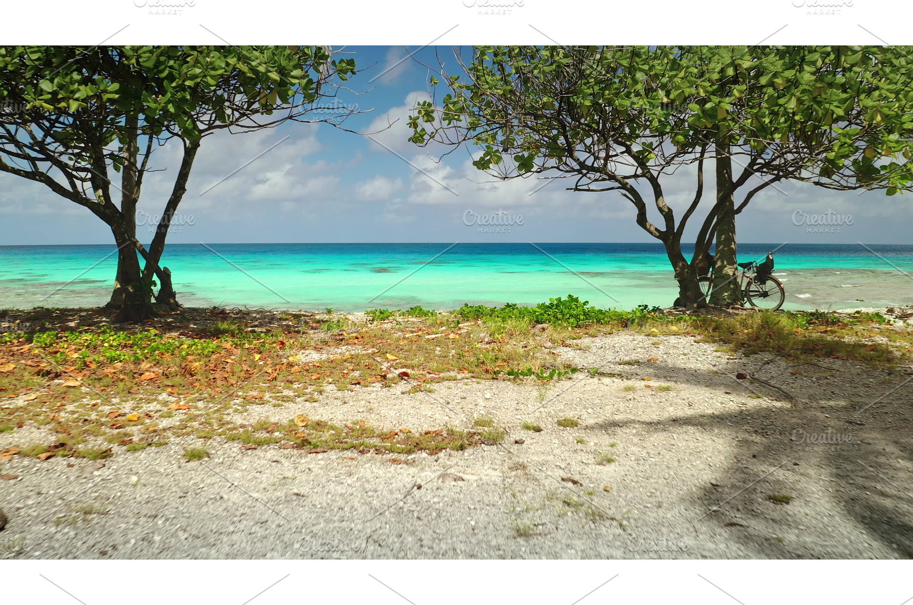 Bicycle resting under a tree on a, a Nature Photo by Goinyk