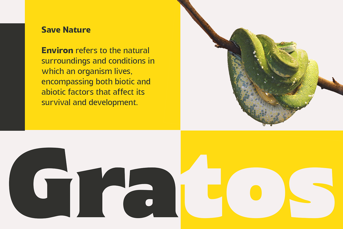 Chunky Delight, a Serif Font by Wildan Type (Photo 7 of 10)