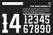 Rose Thorn Numeral Set, a Serif Font by Port Design Company (Thumbnail 1 of 5)