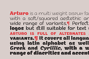 Arturo - 15 Fonts, a Sans Serif Font by Zetafonts (Thumbnail 4 of 13)