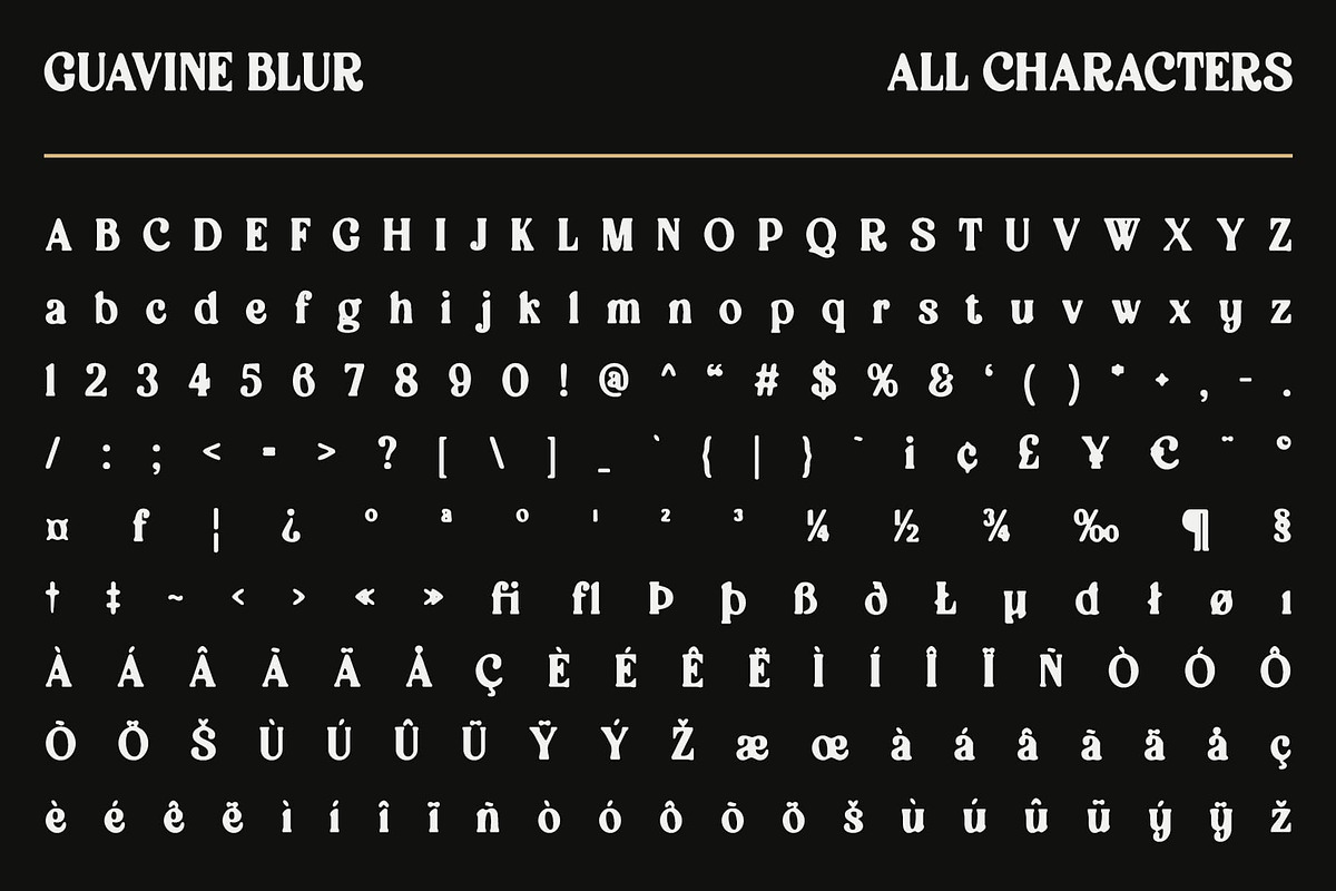 Guavine Blur, a Serif Font by Craft Supply Co. (Photo 8 of 8)