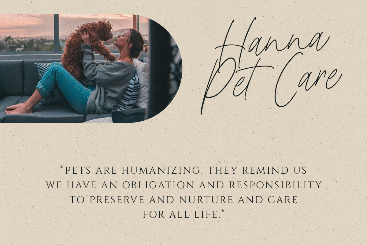 Wednesday Island - Chic Handwritten, a Script Font by Littlehand (Photo 8 of 10)