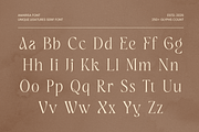 Amarisa - Luxury Editorial Font, a Serif Font by Sensatype (Thumbnail 9 of 12)