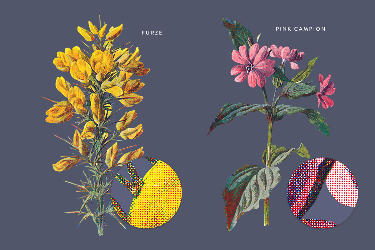 Vintage Flowers Vol.01 - Extra Large, an Illustration by Greta Ivy (Photo 8 of 18)