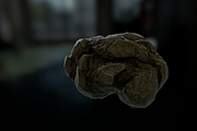 [Next-Gen] Forest Rock, an Environmental 3D Model by Game-Ready Studio (Thumbnail 3 of 5)