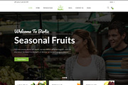 Biotic -Organic Food WordPress Theme, a WordPress Template by ThemeRegion (Thumbnail 3 of 3)