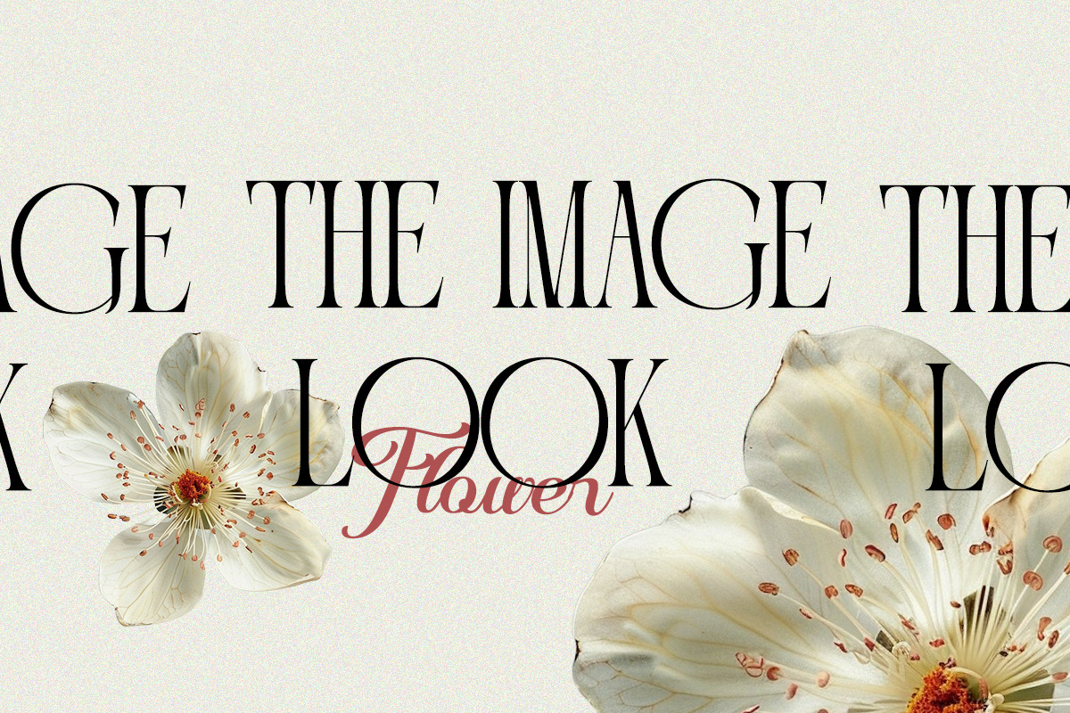 Portiso - Modern Luxury Serif, a Serif Font by Qweera Studio (Photo 8 of 12)