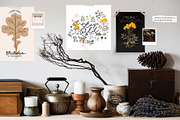 Autumn botany & Halloween mystery, a Seasonal Illustration by Ruslana Lubenets (Thumbnail 13 of 21)