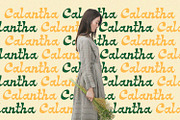 Meadow - Groove Script Font, a Script Font by Alpaprana (Thumbnail 3 of 9)