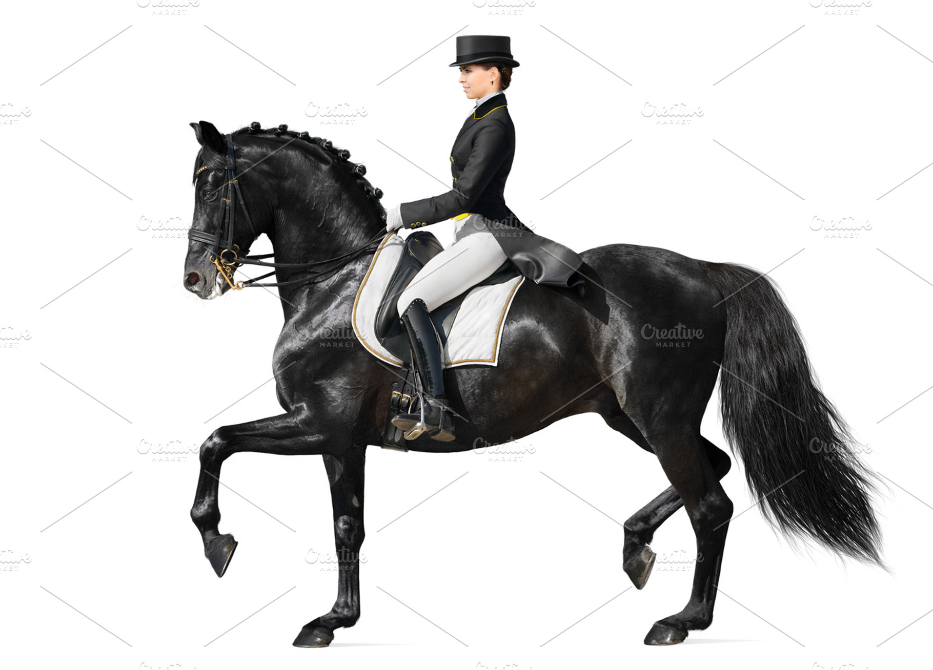 Equestrian sport  dressage containing active, animal, and beautiful, a Sports & Recreation Photo by Horses and Dogs