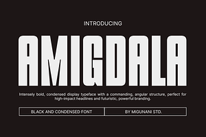 Amigdala Tall Display Font