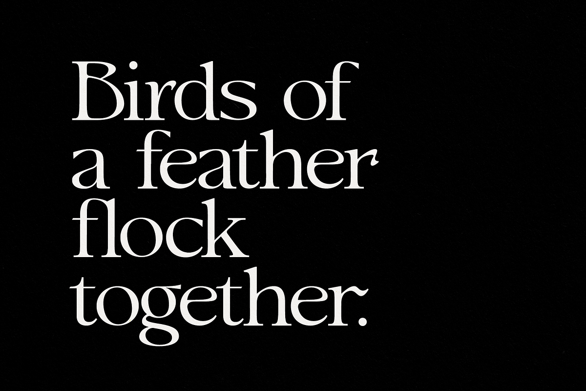 Ark - Psychedelic Art Nouveau Serif, a Serif Font by Fenotype (Photo 7 of 13)
