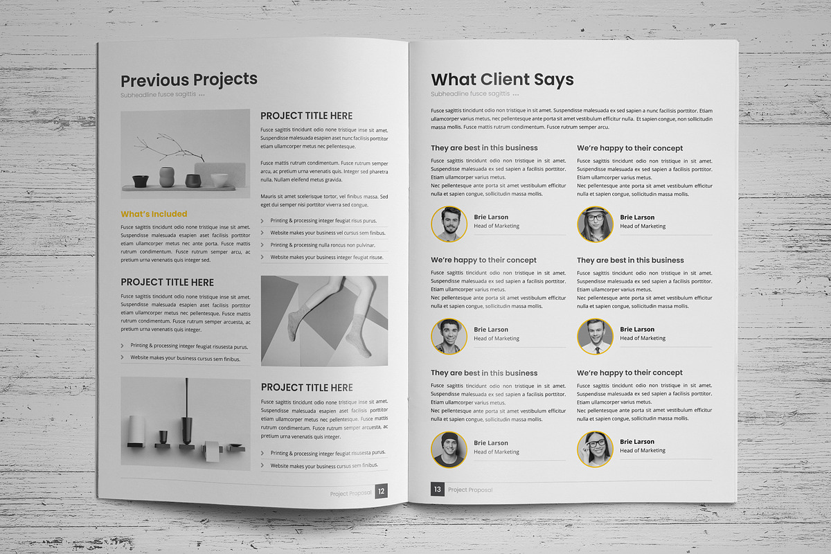 Project Business Proposal v6, a Brochure Template by Miyaji75 (Photo 9 of 18)