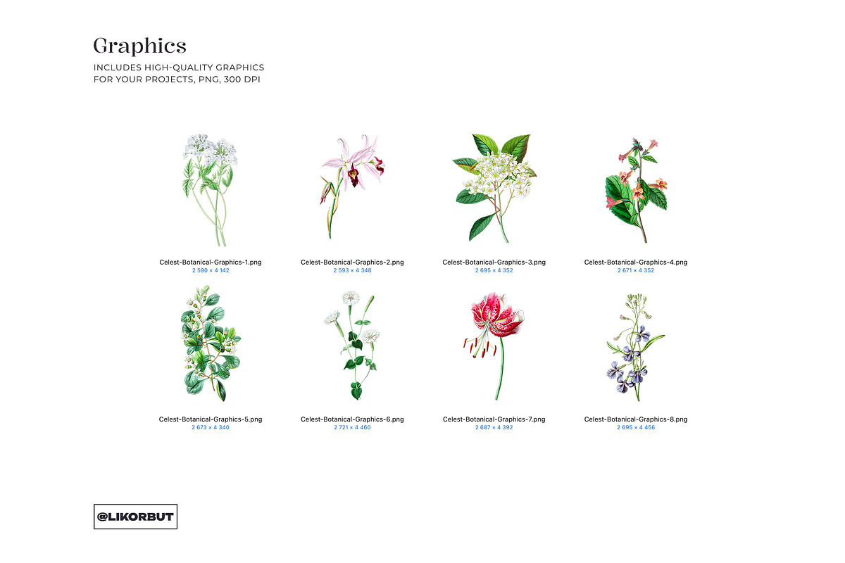 Blue Vintage Botanical Pattern, a Pattern Graphic by likorbut (Photo 9 of 14)