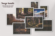 WILDWOOD bi-fold brochure, a Brochure Template by Mikko Lemola (Thumbnail 6 of 6)