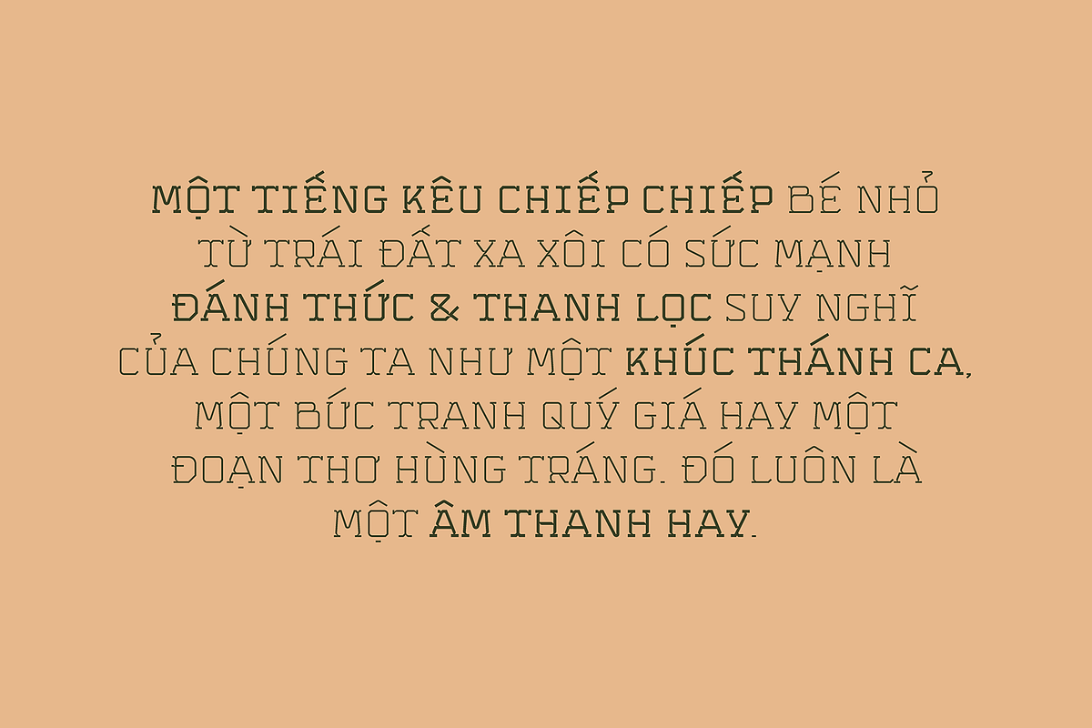 BEN - Typeface, a Sans Serif Font by Dat Do (Photo 11 of 20)