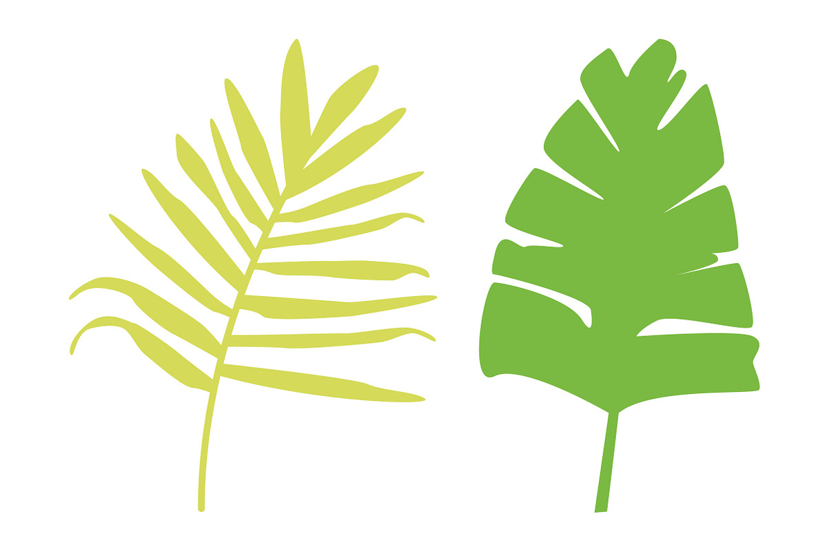 Vector Palm Leaves, an Illustration by Sarah Hearts (Photo 2 of 2)