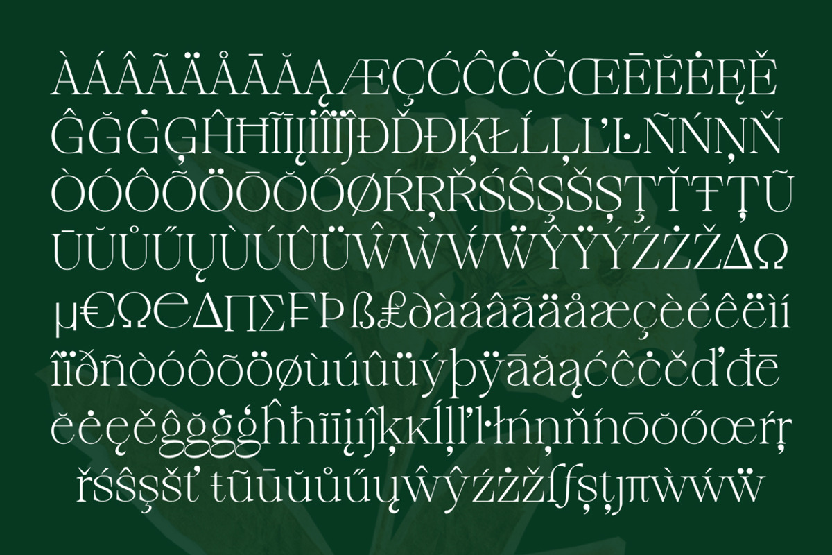 Cardinal Flower, a Serif Font by Typehill (Photo 14 of 15)