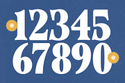 Mingle Heaven Groovy Retro Serif, a Serif Font by timelesstype.co (Thumbnail 17 of 20)