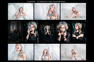 Larissa- 11 Presets For Lr