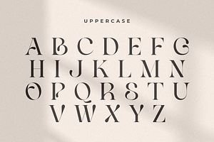 Life Sugar - Unique Serif Font