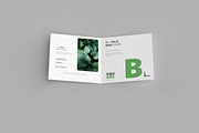 165 Brochure Mock-ups Big Bundle, a Print Template by pmvch (Thumbnail 56 of 170)